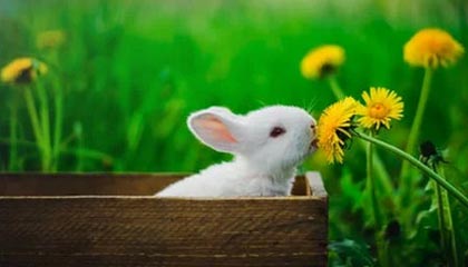 开云体育下载-哈兰德连续6场破门，英超锋线无可匹敌，哈兰德联赛进球